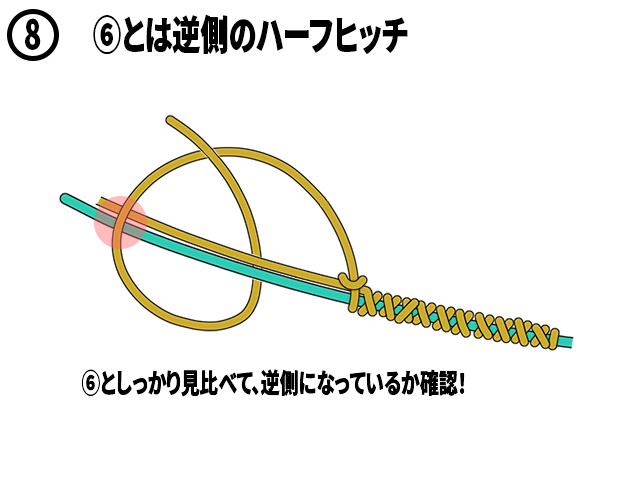 ⑧⑥とは逆側のハーフヒッチ