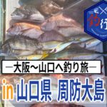 【釣行記】山口県周防大島周辺で秋の船釣り！！～ブリを求めて～