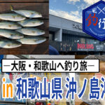 【釣行記】和歌山＆大阪の旅：Mr.Bigのコンサートと船釣りを満喫する3日間の大人の遠征プラン