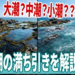 【釣りクイズ】“大潮・小潮・中潮”の違いを理解してますか？ー潮回りを味方にして釣果アップを狙え！