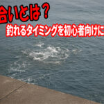 時合いとは？釣れるタイミングを初心者向けに解説